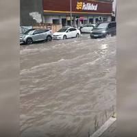 Güncel