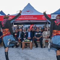 Güncel