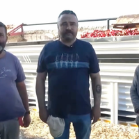 Güncel