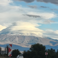 Güncel