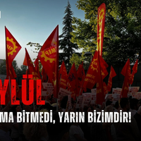 SİYASET