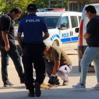 Güncel