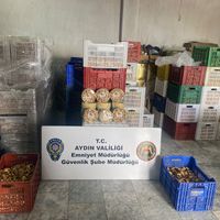 ASAYİŞ