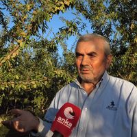 Güncel