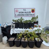 ASAYİŞ