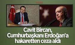 Cavit Bircan, Cumhurbaşkanı Erdoğan'a hakaretten ceza aldı