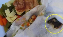 Enginar sandığı fareyi yiyen adam: Bıyıkları ve bana bakan iki gözü gördüm