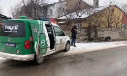 Okul çevresinde pitbull dolaştırdı, cezayı yedi