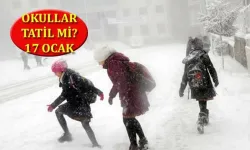 Yarın okullar tatil mi 17 Ocak, hangi illerde kar tatili var? Okulların tatil olduğu iller listesi