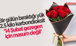 Bir gülün bıraktığı yük 2.5 kilo karbondioksit ‘14 Şubat gezegen için masum değil’ 