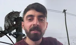Direğe tırmanan vaşağı 'gel pisi pisi' diye çağırdı