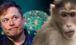 İddiası çok büyük, suçlamalar çok korkunç! Elon Musk Neuralink ile nereye koşuyor?