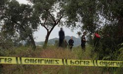 Aydın'da intihar! Zeytin ağacına asılı halde bulundu