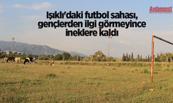 Işıklı'daki futbol sahası, gençlerden ilgi görmeyince ineklere kaldı