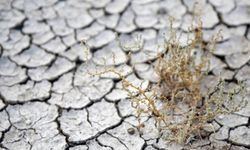 Bakanlık duyurdu: Sel ve erozyona karşı 14 yeni proje