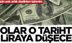 Dolar için yok artık dedirten tahmin: Dolar o tarihte 6 liraya düşecek