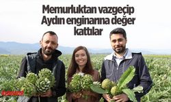 Memurluktan vazgeçip Aydın enginarına değer kattılar