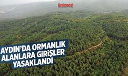 Aydın’da ormanlık alanlara girişler yasaklandı