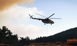 Marmaris yangını için iki ülkeden Türkiye'ye uçak ve helikopter desteği