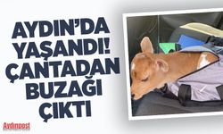 Koçarlı'da çantadan öyle bir şey çıktı ki!