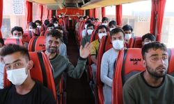 363 Afgan göçmen ülkelerine gönderilmek üzere İstanbul'a götürüldü