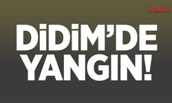Didim'de yangın! Otel bölgesini alevler sardı