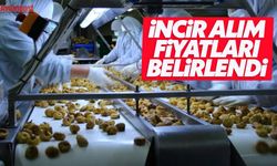 İncir alım fiyatları belirlendi