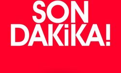 "Milli parkta duman gördüm" ihbarı ekipleri alarma geçirdi