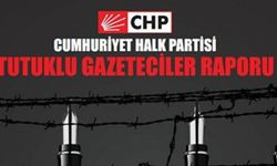 CHP'nin 'Tutuklu gazeteciler' raporunda 13 Dilşah daha var