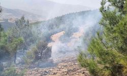 Nazilli’deki orman yangını büyümeden söndürüldü