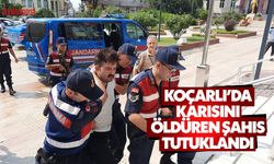 Son Dakika: Koçarlı'da karısını öldüren şahıs tutuklandı