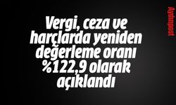 SON DAKİKA | Vergi, ceza ve harçlarda yeniden değerleme oranı %122,9 olarak açıklandı