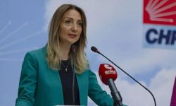 Aylin Nazlıaka: Bir Yılda 553 Kadın Cinayeti İşlendi