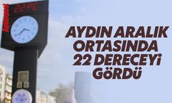 Aydın, aralık ortasında 22 dereceyi gördü