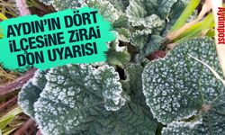 Aydın’ın dört ilçesine zirai don uyarısı