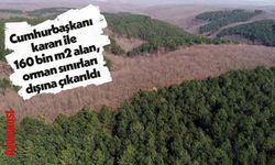 Cumhurbaşkanı kararı ile 160 bin m2 alan, orman sınırları dışına çıkarıldı