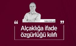 Coşkun Irmak yazdı: Alçaklığa ifade özgürlüğü kılıfı