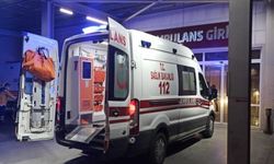 Didim'de ziyaretine gelen ağabeyini öldürdü