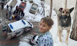 Köpeğin saldırısına uğrayan 10 yaşındaki çocuk hayatını kaybetti