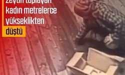 Nazilli'de zeytin toplayan kadın metrelerce yükseklikten düştü