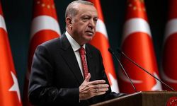 ABD'li akademisyenlerden dikkat çeken Türkiye analizi