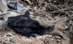 Depremde değil enkaz başında can verdi