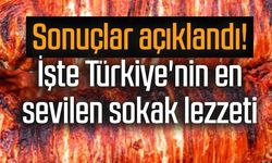 Sonuçlar açıklandı! İşte Türkiye'nin en sevilen sokak lezzeti