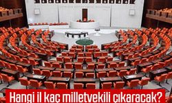 Hangi il kaç milletvekili çıkaracak? Resmi Gazete'de yayımlandı