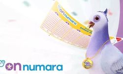 On Numara çekiliş sonuçları açıklandı
