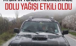 Aydın’ın yüksek kesimlerinde dolu yağışı etkili oldu