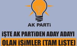 İşte Aydın AK Parti'den aday adayı olan isimler