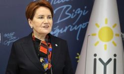 Üst düzey yetkili, Akşener'e sormuş diyerek yanıtı paylaştı