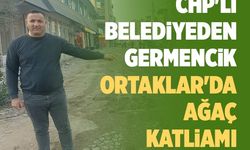 CHP'li belediyeden Germencik Ortaklar'da ağaç katliamı