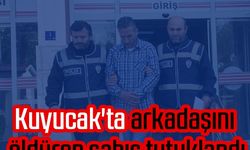 Kuyucak'ta arkadaşını öldüren şahıs tutuklandı